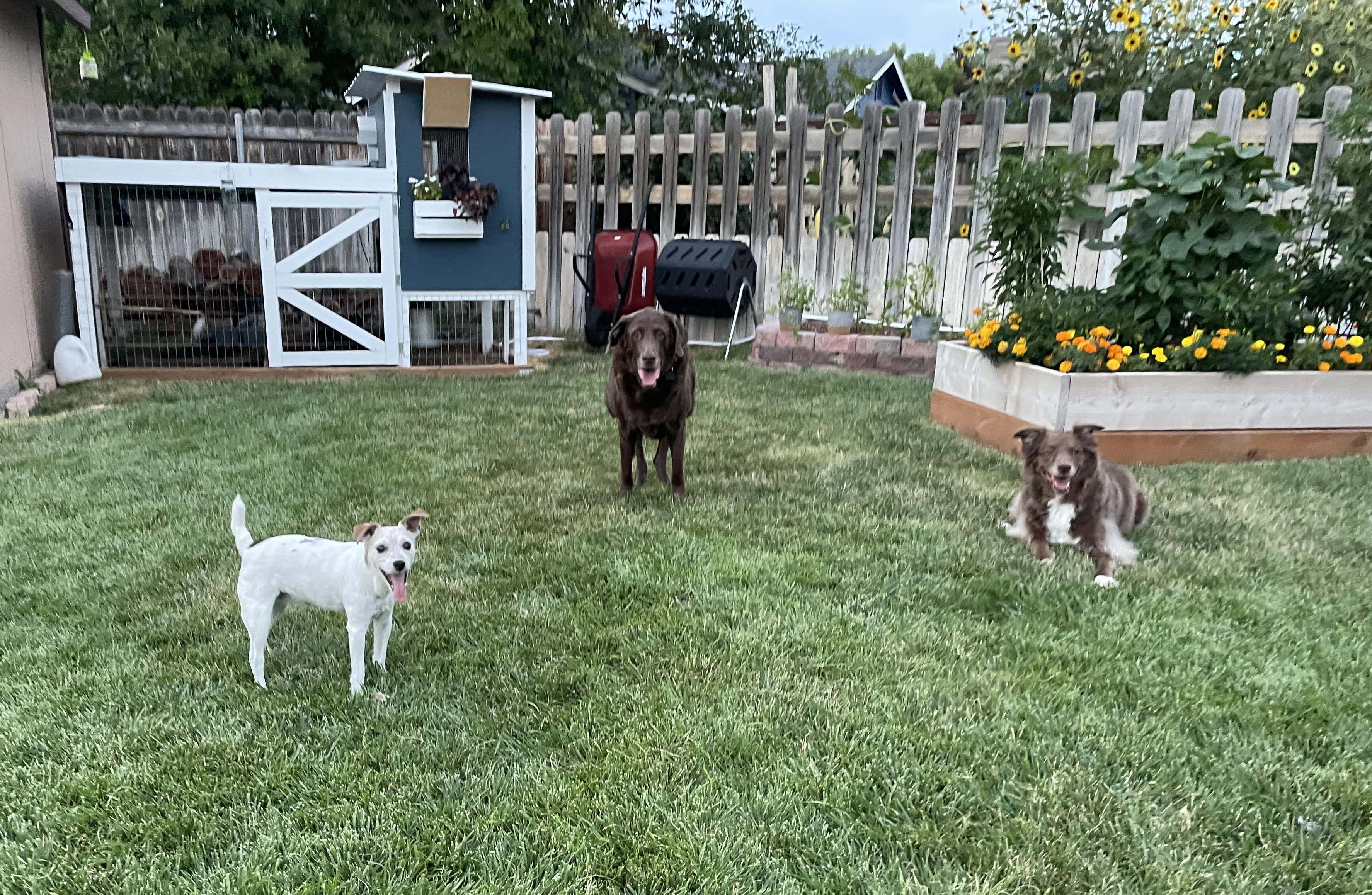 66e45de0-e2f7-4803-9085-854f2e5f3a1e