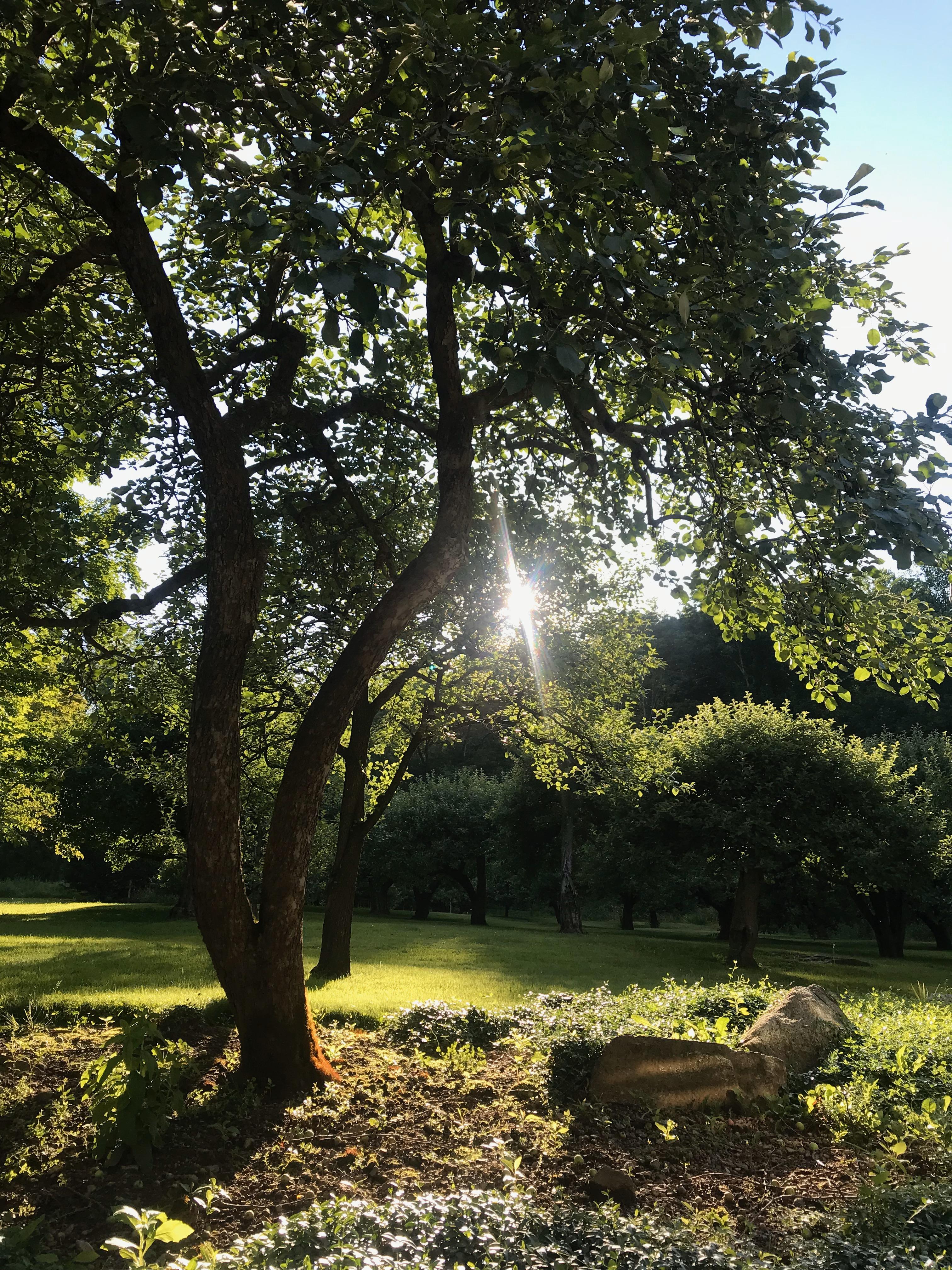 The Wedding Website of Kyle Georgina Marsh and Micah J Chervin