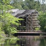 The Crosby Arboretum