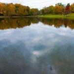 Shelby Park
