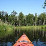 Verde Adventure River Trips by Sedona Adventure Tours