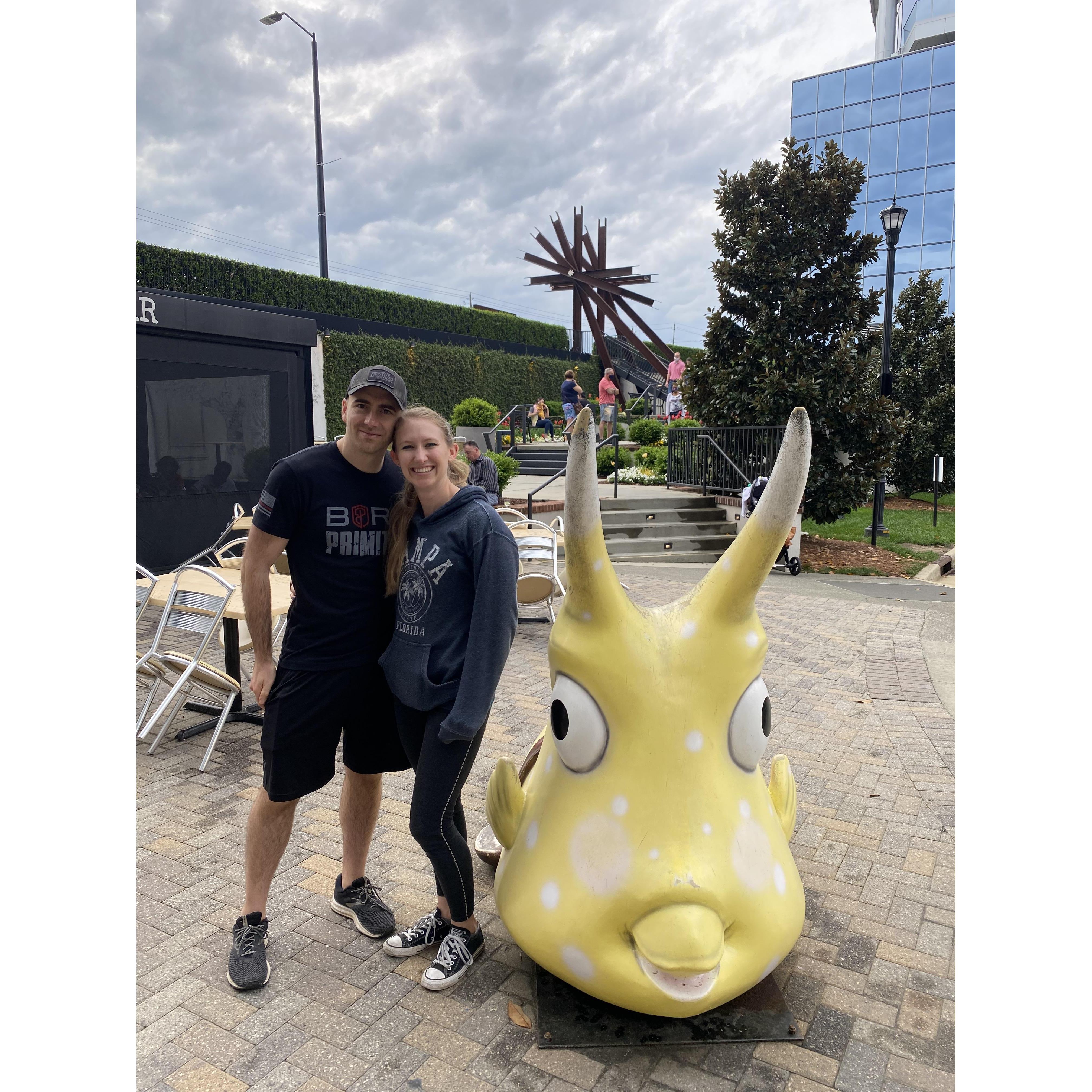 Cow Fish in Raleigh, North Carolina