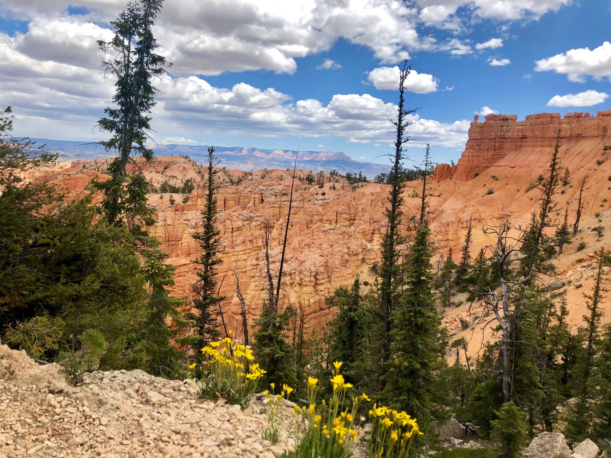 Bryce Canyon, UT