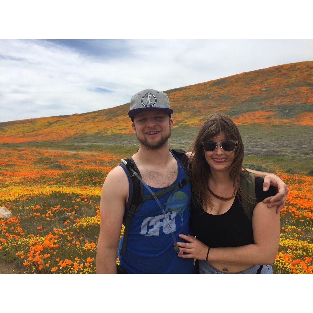 Our first Superbloom Poppy Season