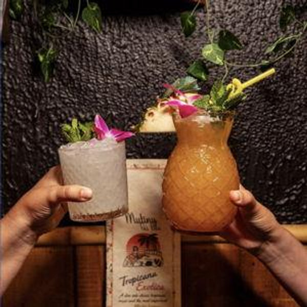 Cheers to the newlyweds 🎉 (Honeymoon Dinner & Drinks - Day 3)