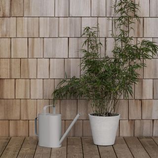 Rigua Watering Can