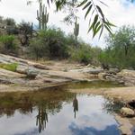 Sabino Canyon