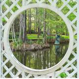Azalea Park