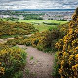 Arthur's Seat