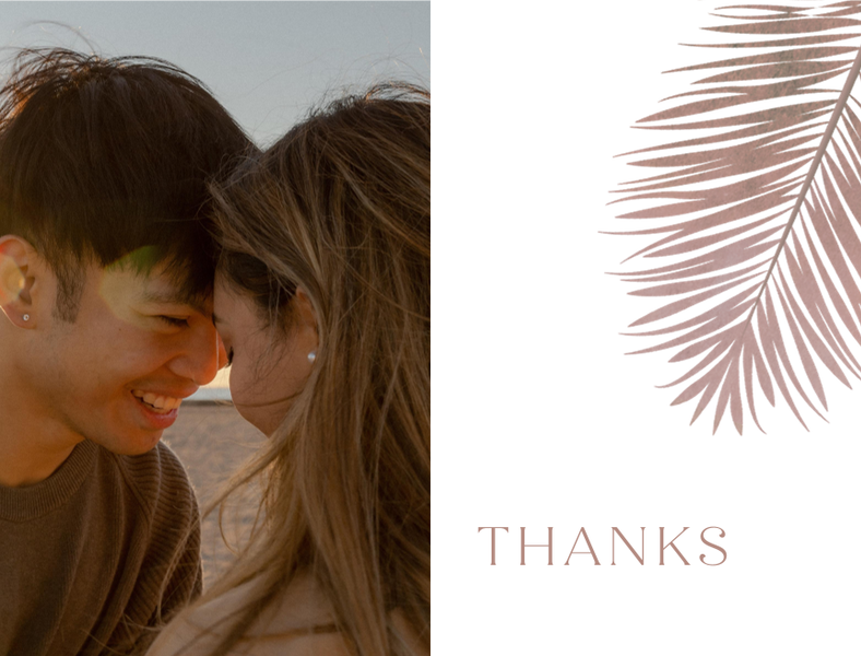 Curacao Photo | Café au Lait | Zola Thank You Cards
