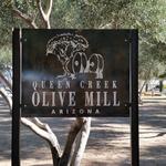 Queen Creek Olive Mill