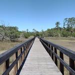 Skidaway Island State Park