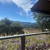 Venge Vineyards