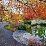 Nishinomiya Tsutakawa Japanese Garden