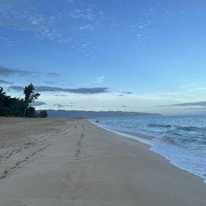 Our Hawai'i Home