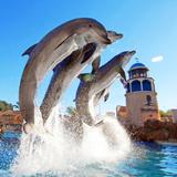 SeaWorld San Diego
