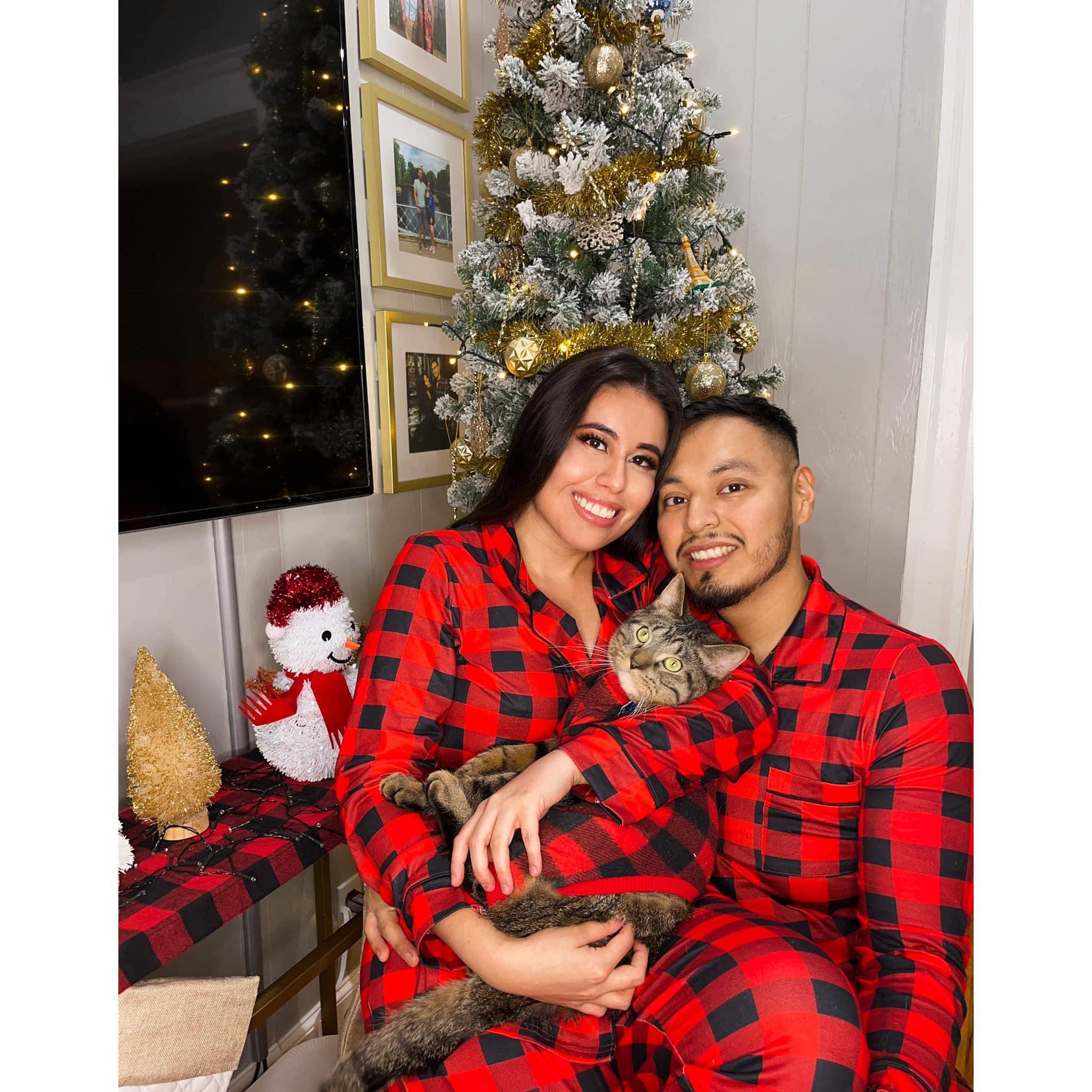 2021 - Our first Christmas in Boston, Massachusetts
