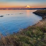 Point Defiance Park