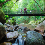 Minnamurra Rainforest Centre