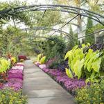 Cheekwood Botanical Gardens