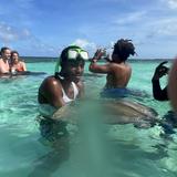Stingray City Antigua