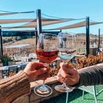 Akash Winery & Vineyard