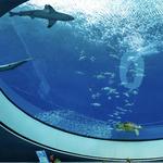 Phillip & Patricia Frost Museum of Science