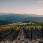 Holman Ranch