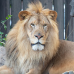 Cleveland Metroparks Zoo
