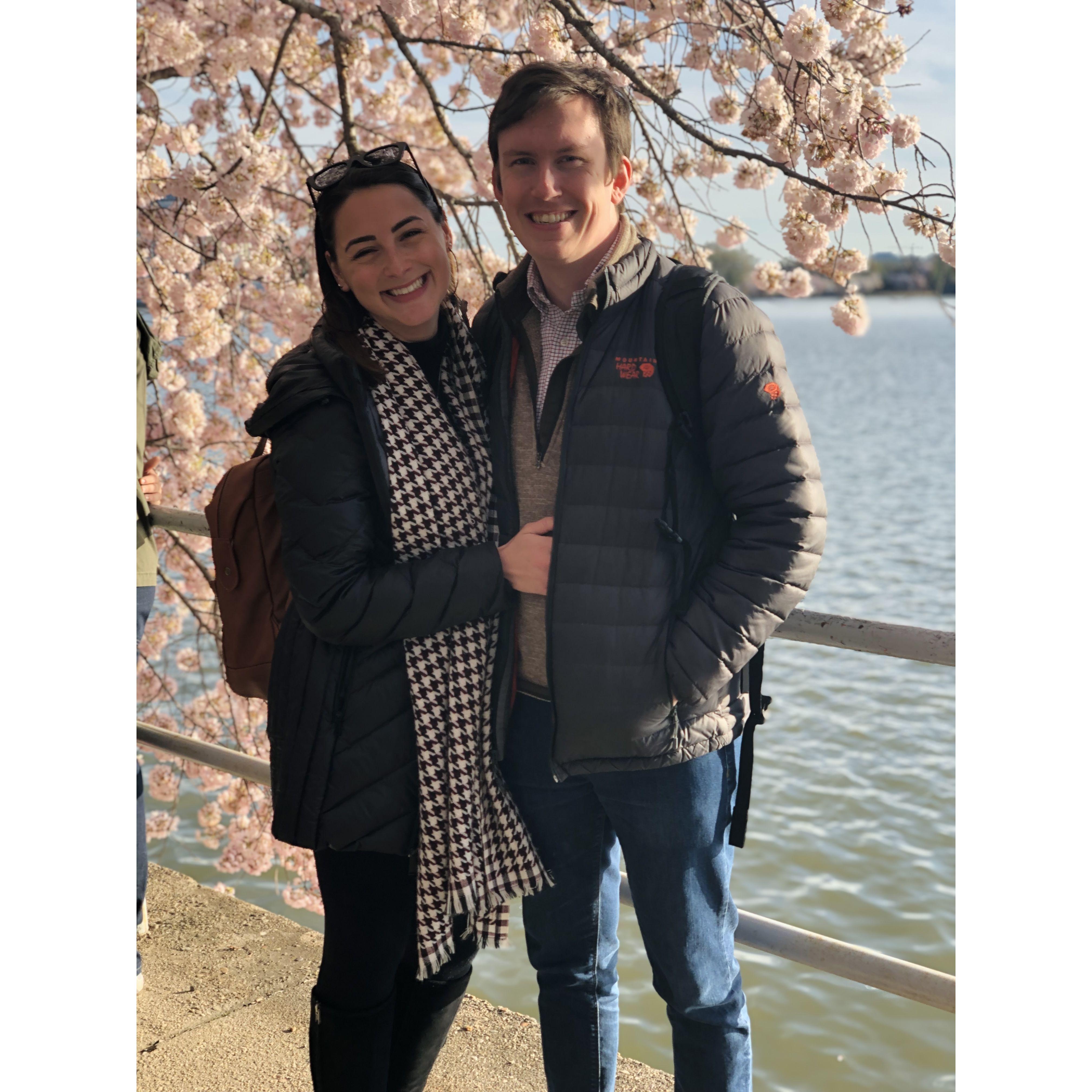 2019: the first of many cherry blossom outings