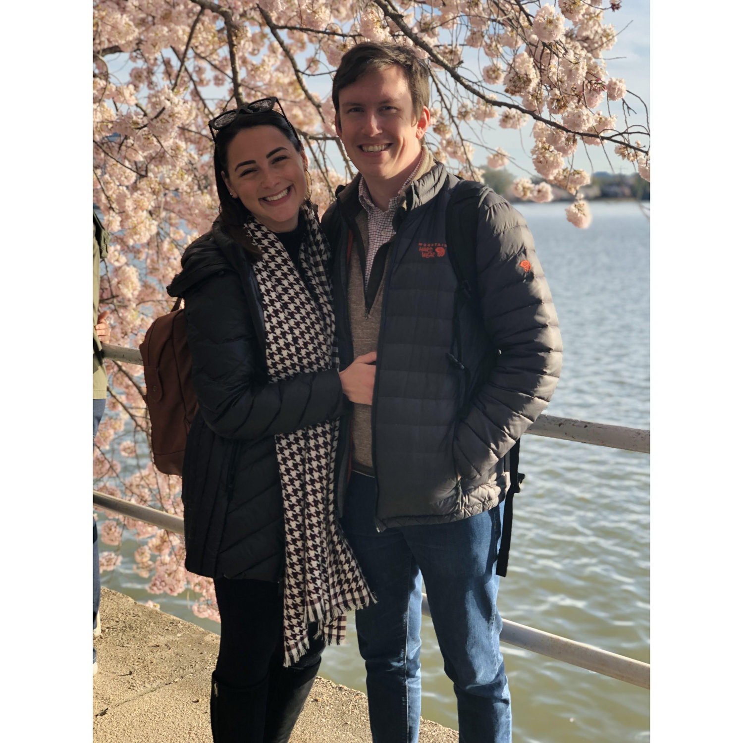 2019: the first of many cherry blossom outings