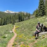 North Tenmile Trail #37