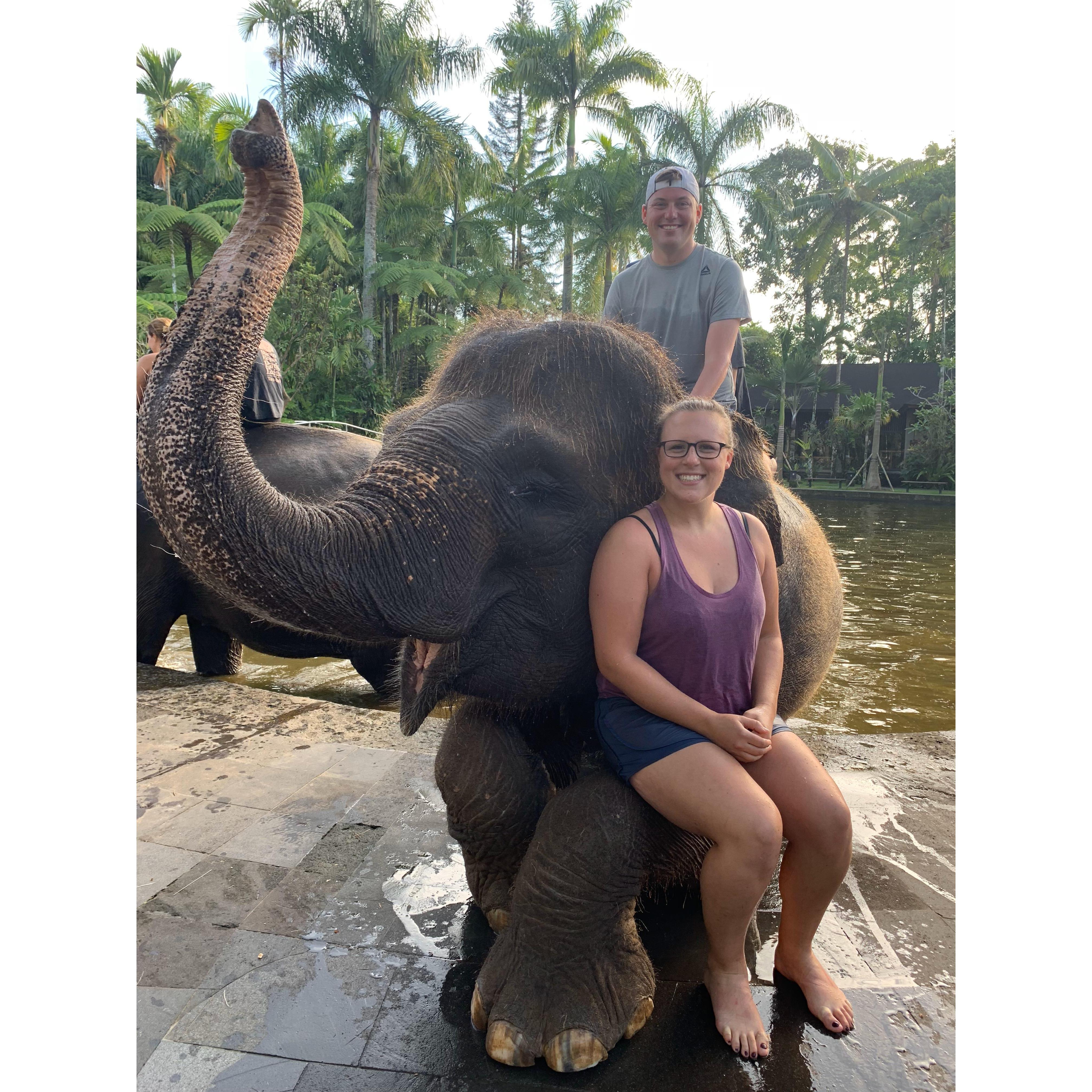 Elephant Sanctuary. Bali, Indonesia. December 2018