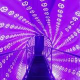 Museum of Illusions - Seattle