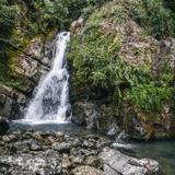 El Yunque National Forest