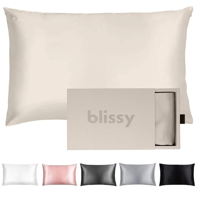 Blissy Silk Pillowcase - 100% Pure Mulberry Silk - 22 Momme 6A High-Grade Fibers - Silk Pillow Cover for Hair & Skin - Regular, Queen & King with Hidden Zipper (Queen, Champagne)