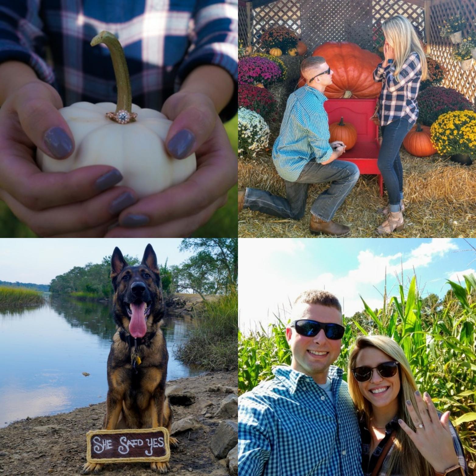 Billy asked me to be his wife at Boone Hall's  Pumpkin Patch October 2nd 2017