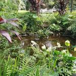 Dunlawton Sugar Mill Gardens