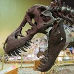 Wyoming Dinosaur Center