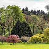 John F Kennedy Arboretum