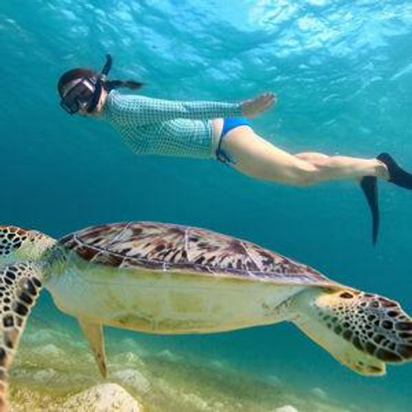 Snorkeling with Sea Turtles for Two