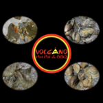 volcano hot pot & bbq