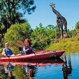 Brevard Zoo