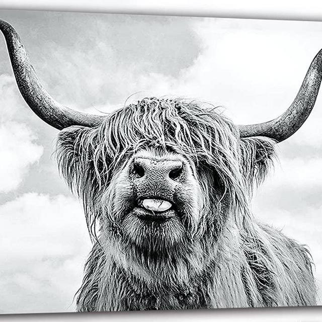 Highland Cow Canvas Print Black and White Highland Cow Wall Art Farmhouse Wall Decor Longhorn Highland Cattle Picture Stretched and Framed Ready to Hang for Living Room Bathroom Decor 12x16inch for fengyuyi
