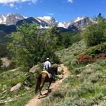 Jackson's Stables Inc