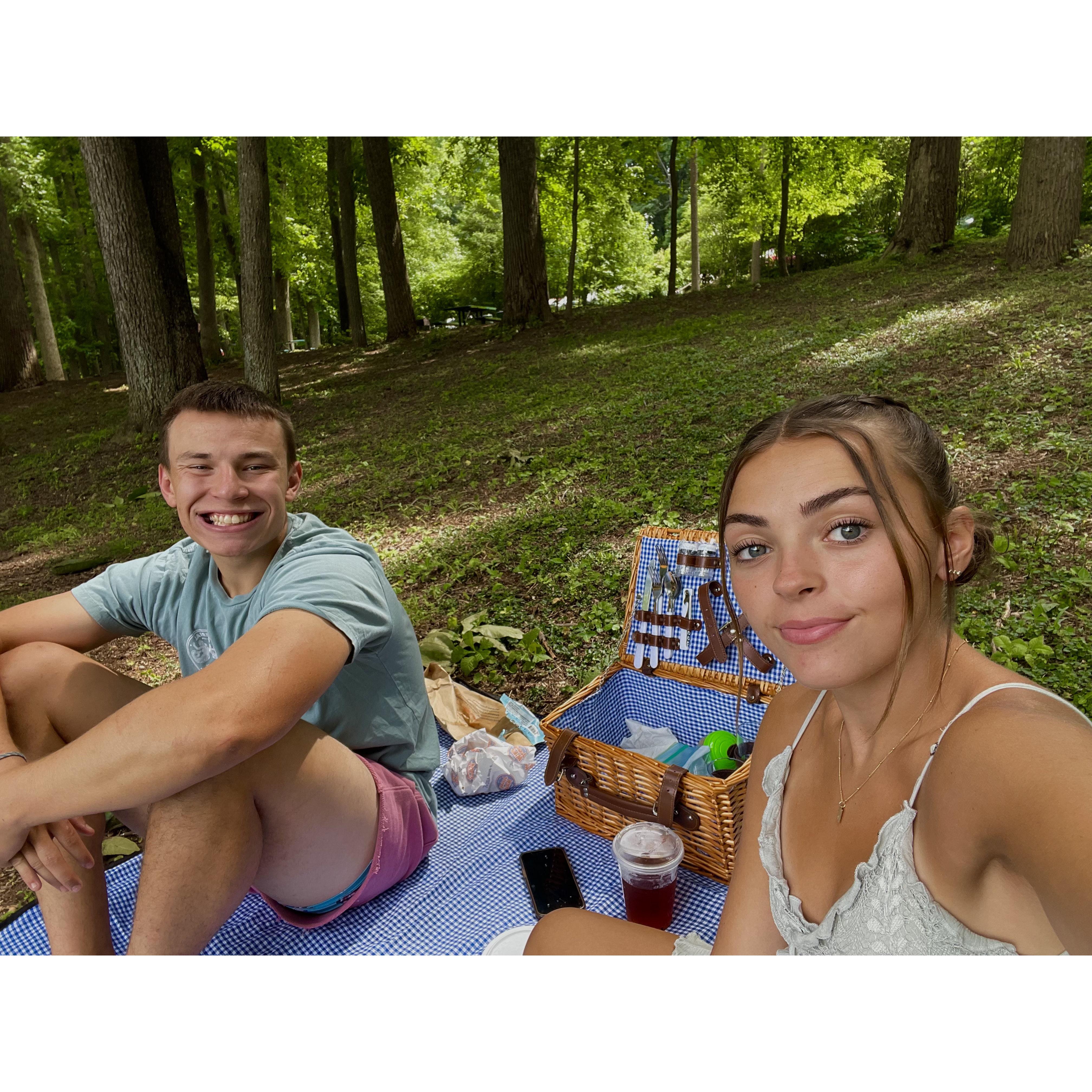 picnic