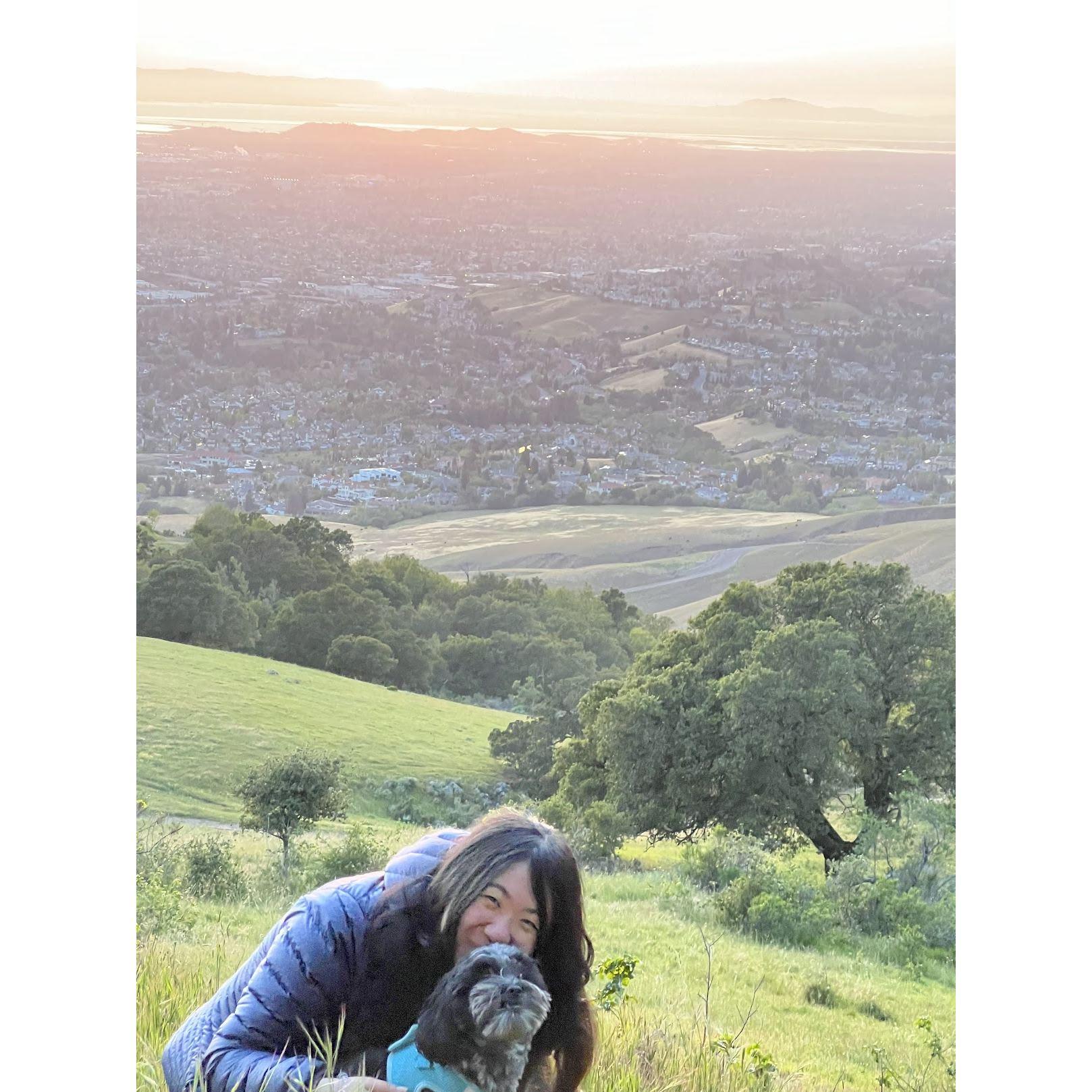 Hiking at sunset with the little pupper.