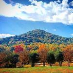 Victoria Valley Vineyards