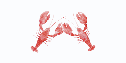 The Wedding Website of Derek Weissman and Mollie Savit