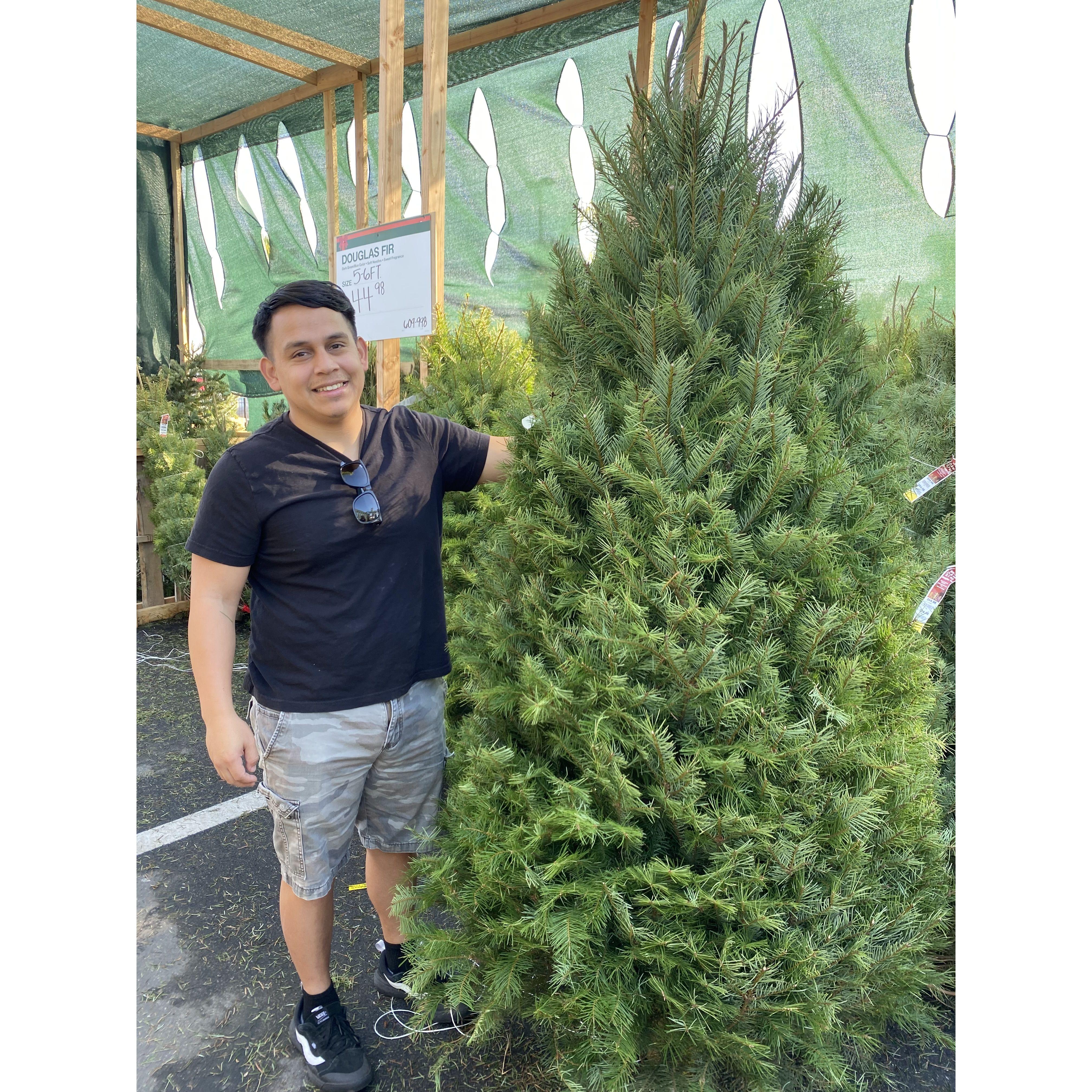 Our first time Christmas tree shopping for our first year living together!
